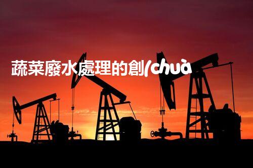 蔬菜廢水處理的創(chuàng)新之路？揭秘綠色科技的以后！